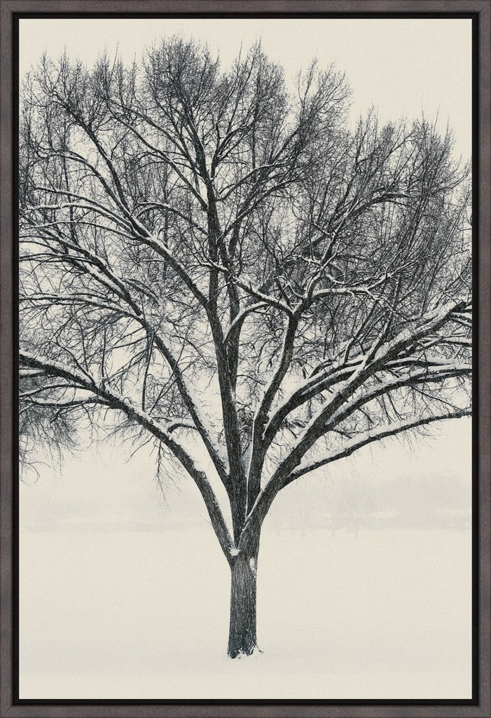Monochrome Tree in Snow I