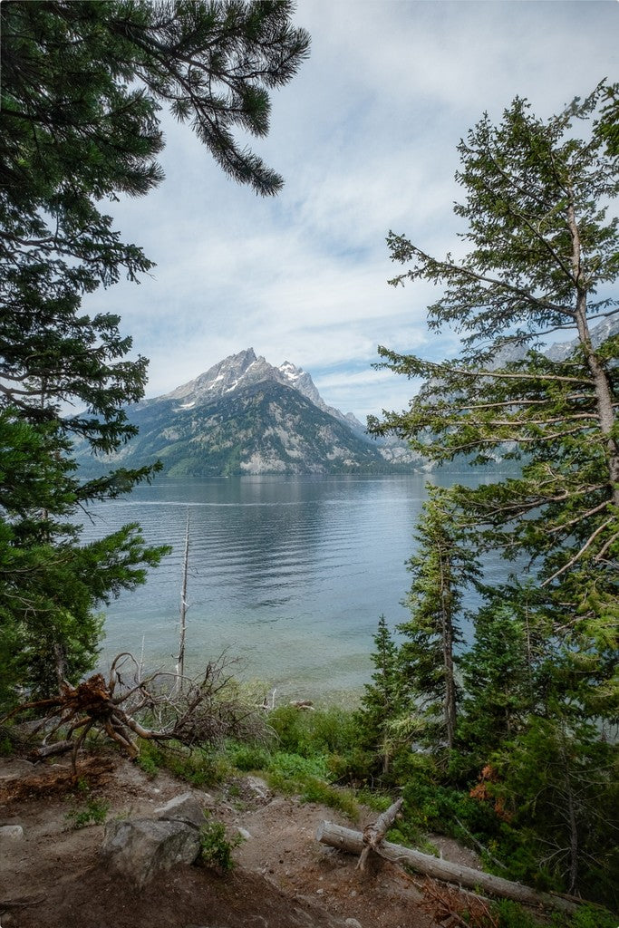 Montana Mountain View