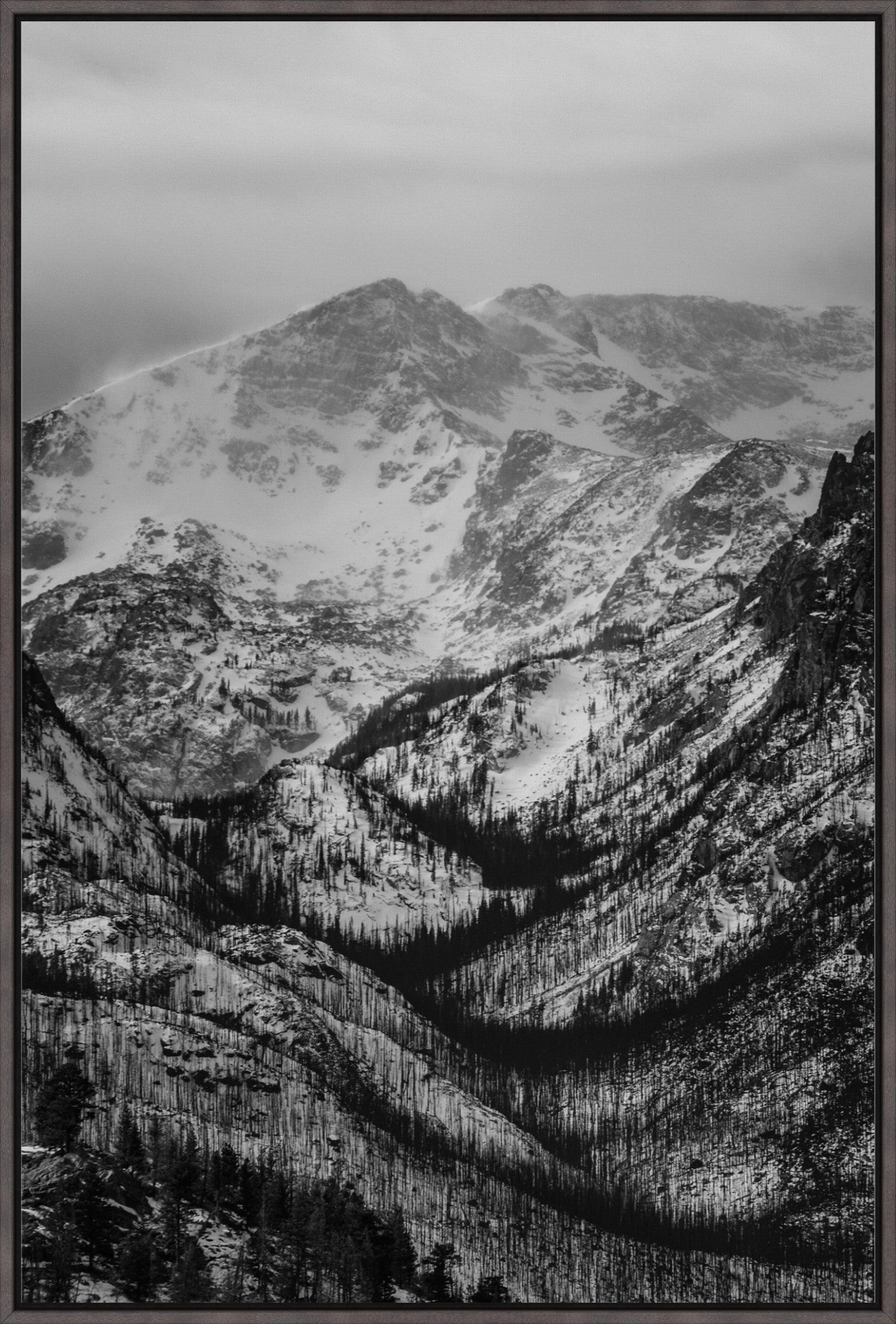 Winter Gulley
