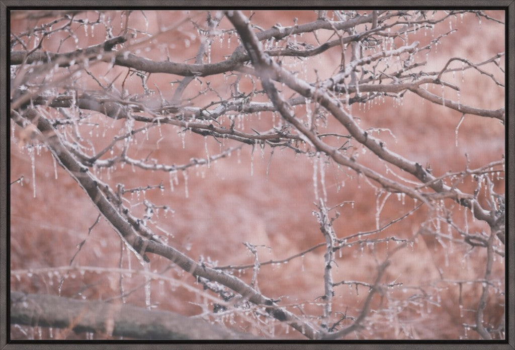 Midwest Winter Freeze